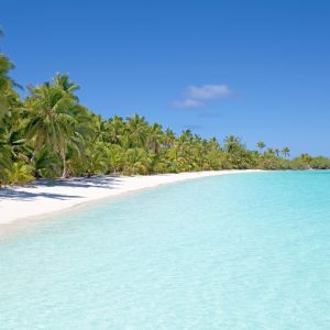 Pack Solo "Zen & Soleil"